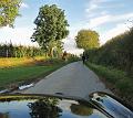 Herfstrit-Follow the Leader op 7-10-2012 (241)